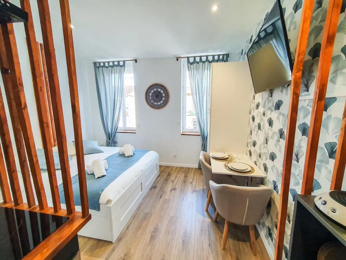 Studio A 10Mn A Pied De L'Hyper Centre Albi France